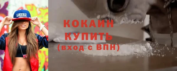 стаф Кулебаки