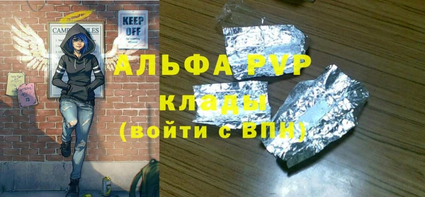 стаф Кулебаки