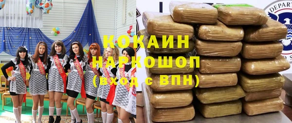 стаф Кулебаки