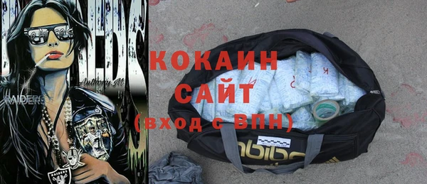 стаф Кулебаки