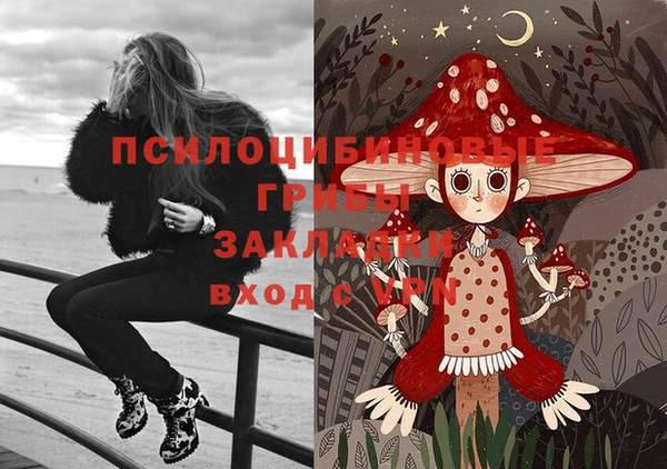 дурь Куйбышев