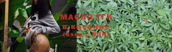 стаф Кулебаки